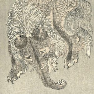 alp baku 的头像