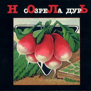 Ноль+Выход 的头像