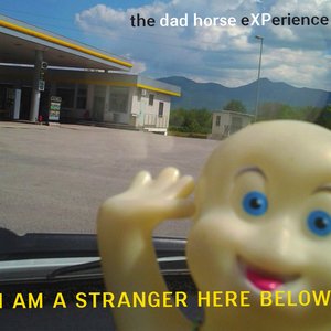 I am a Stranger Here Below