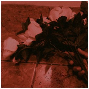 Murió la Flor