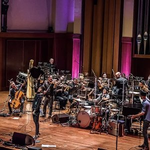 Brandi Carlile & The Seattle Symphony 的头像