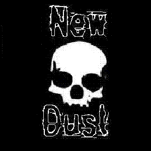 Image for 'New Dust'