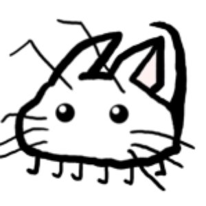 猫虫 的头像