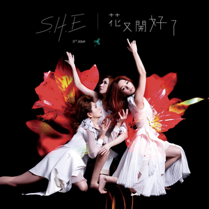 花又開好了 cover