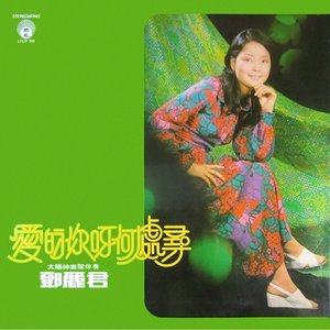 愛的你呀何處尋