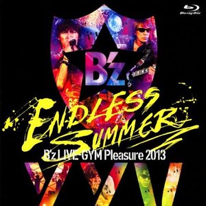 B'z LIVE-GYM Pleasure 2013 ENDLESS SUMMER -XXV BEST-