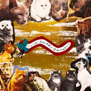 cat treats
