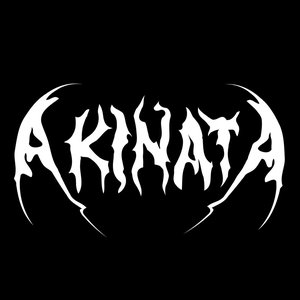 AKINATA 的头像