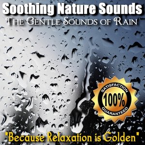The Gentle Sounds of Rain