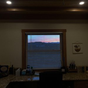 Mid Backstabber - Single