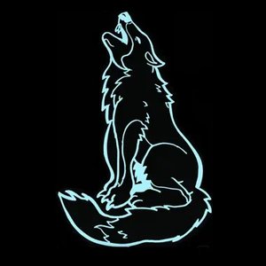 Avatar for The Wolves Howl