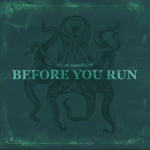 Before You Run