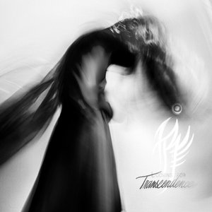 Looking for Transcendence [Explicit]