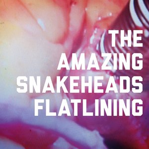 Flatlining - Single