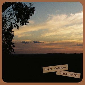 Tiger Stripes - Single