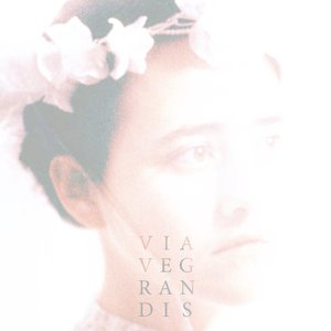 Via Vegrandis 的头像