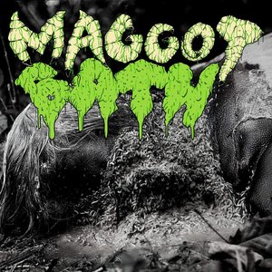 Maggot Bath