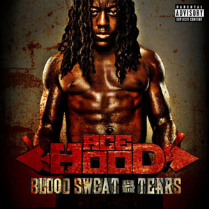 Ace Hood - 10s Hip-Hop Hits - Zortam Music