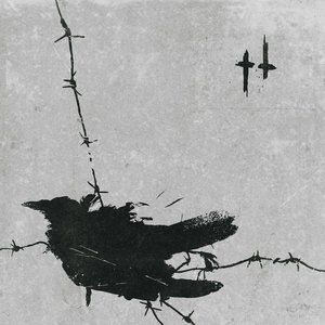 Death Is a Bird Flying