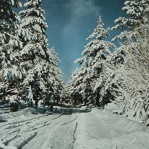 Wrightwood