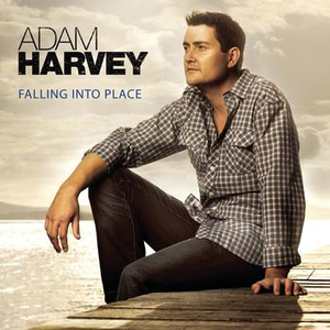 Falling Into Place cover