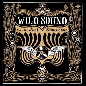 “wild sound from the past dimension”的封面