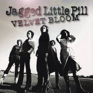 Velvet Bloom