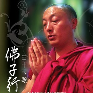 Awatar dla Khenpo Tsulnam Rinpoche