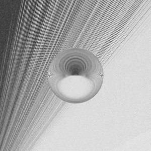 40 Million Cat Hairs