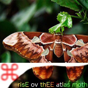 'NON 3- risE ov thEE atlas moth'の画像