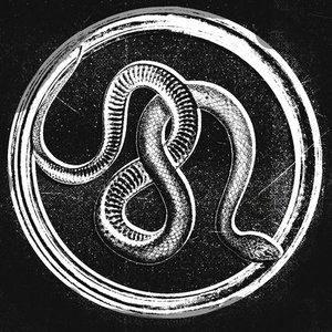 Image for 'Attic Shrines'