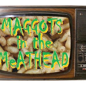 Maggots in the meathead 的头像