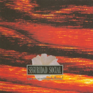 Seguridad Social - 156.Seguridad Social - Chiquilla Lyrics - Zortam Music