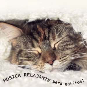 Música Relajante para Gatitos
