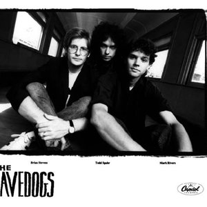 Avatar di The Cavedogs