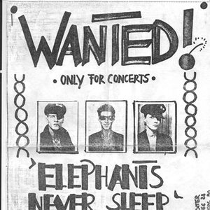 elephants never sleep 的头像