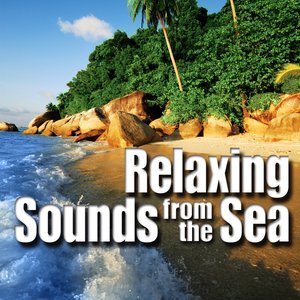 Relaxing Sounds from the Sea
