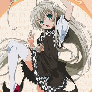 Avatar for 後ろから這いより隊N (阿澄佳奈)