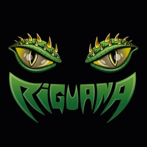 Riguana 的头像