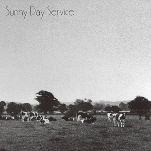 Sunny Day Service