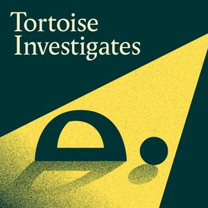 Tortoise Investigates 的头像