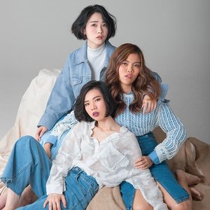 貓速公路 的头像