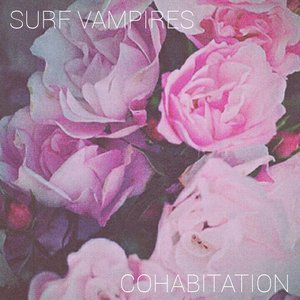 Cohabitation