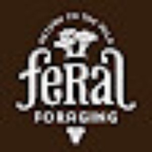 Image for 'Feral Foraging'