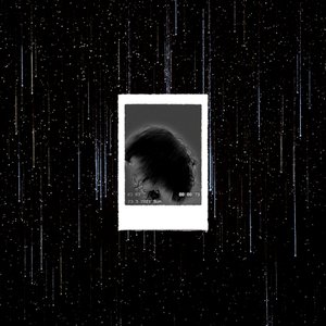 Tetrachords - Single