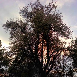 “fydhws / aiRless pRoject Split”的封面