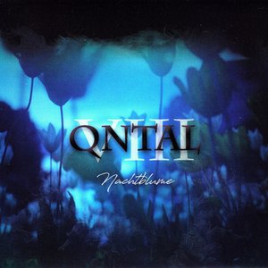 VIII - Nachtblume