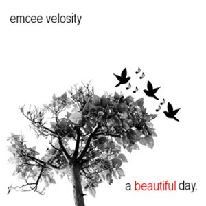 A Beautiful Day