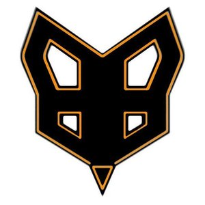 FoxHole443 的头像