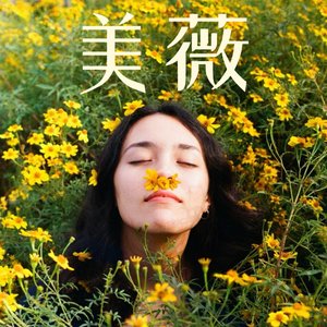 Meiwei